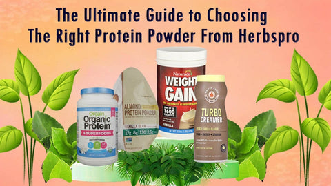 Image showcasing four varieties of protein powder products with overlay text reading 'Guide to choosing the right protein powder from HerbsPro'.
