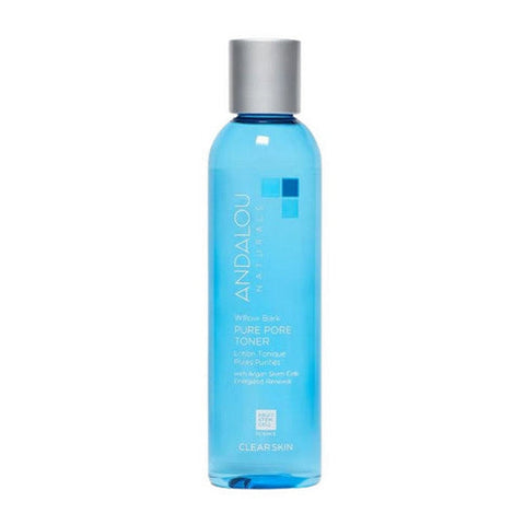 Andalou Naturals, Pore Minimizer, Aloe Plus Willow Bark, 6 oz Andalou Naturals