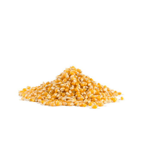 Bobs Red Mill, Whole Yellow Popcorn, 30.8 Oz(Case Of 4)