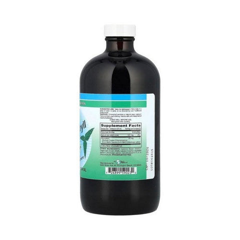 World Organics, Liquid Chlorophyll Natural Mint, 50 Mg, 16 Oz World Organics