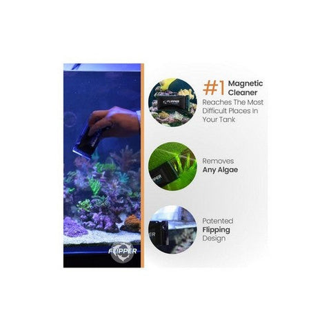 San Francisco Bay Brand, Flipper Cleaner Float 2 In 1 Magnetic Aquarium Algae Cleaner, Standard, 1 Each San Francisco Bay Brand