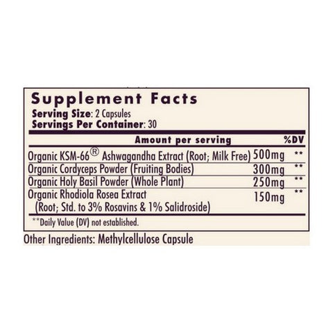 Ladybug Potions, Positive Vibes Ashwagandha Plus, 60 Capsules