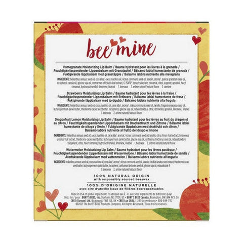 Burts Bees, Bee Mine Lip Balm Gift Set, 0.15 Oz Burts Bees