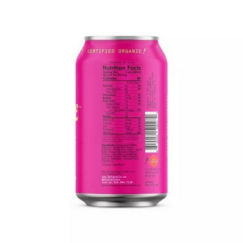 De La Calle, Fermented Beverage Tepache Cactus Prickly Pear, 12 Oz (Case Of 12)