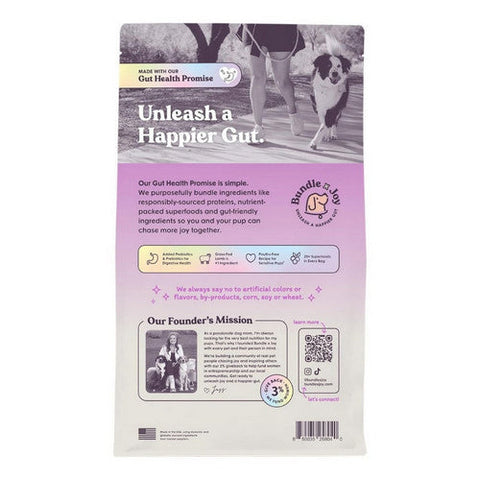 Bundle X Joy, Lamb Recipe Grain Free Dry Dog Food, 4 Lbs (Case Of 6) Bundle X Joy